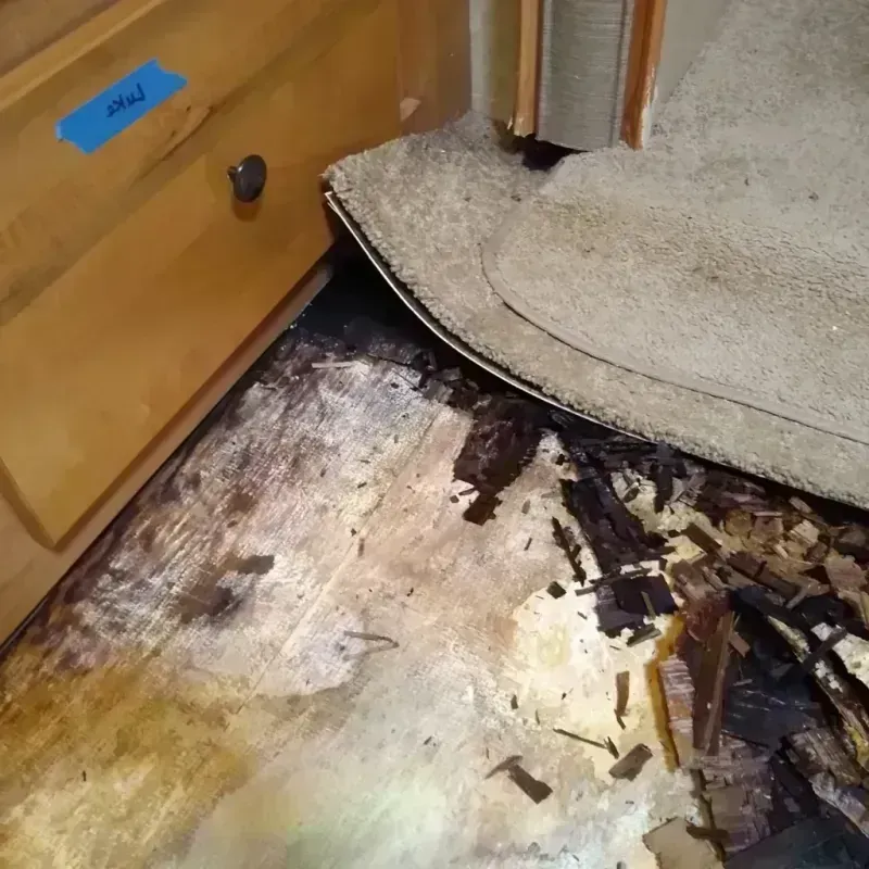 Best Wood Floor Water Damage Service in Lake Lotawana, MO